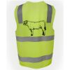 JB's Hi Vis (D+N) Zip Safety Vest Thumbnail